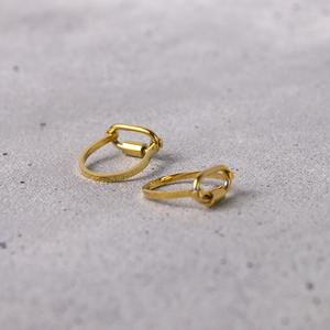 Anillo Marco