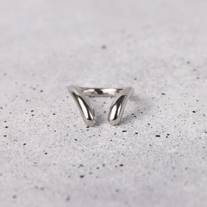 Anillo Reptilia