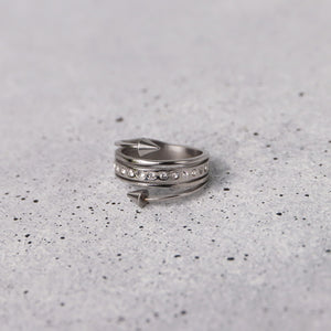 Anillo Dualidad