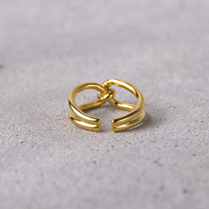 Anillo Conexion
