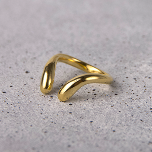 Anillo Reptil