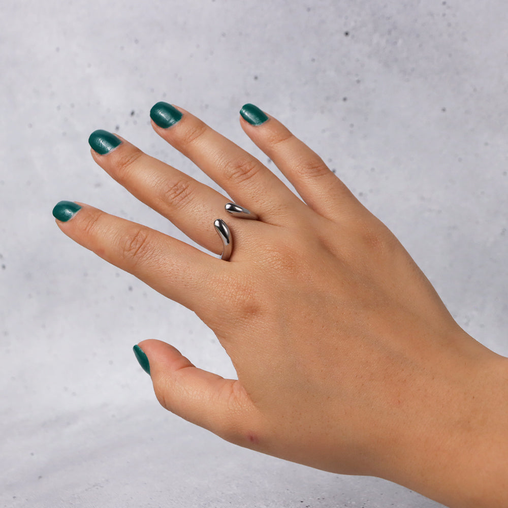 Anillo Reptilia