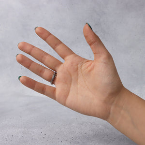 Anillo Dualis