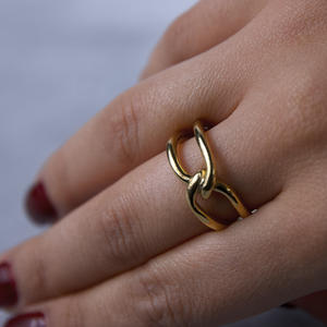 Anillo Conexion