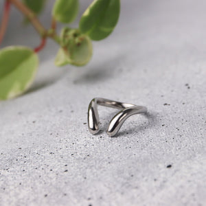 Anillo Reptilia
