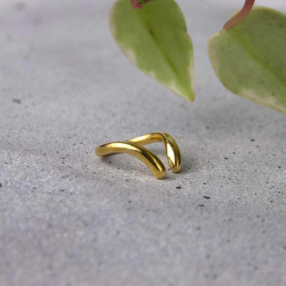 Anillo Reptil